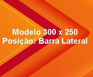 Modelo 300 x 250